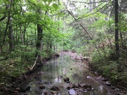 Property in Yell County, Arkansas