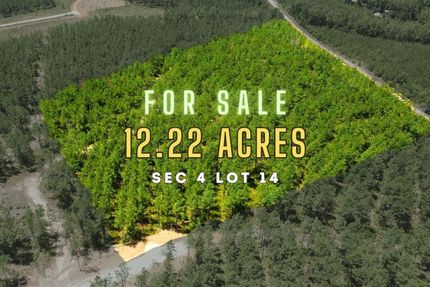 Property in Polk County, Texas