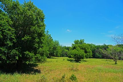 Property for sale in Jack County, Texas