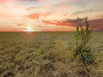 Property in Hockley County, Texas