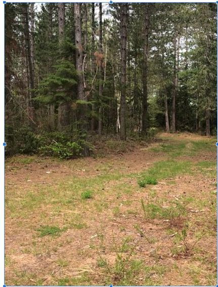 Property in Itasca County, Minnesota