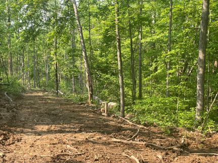 Property in Orange County, Indiana