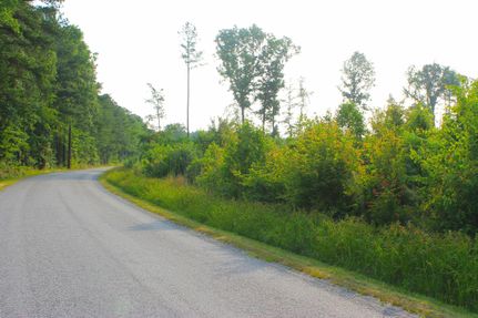 Property in Sussex County, Virginia