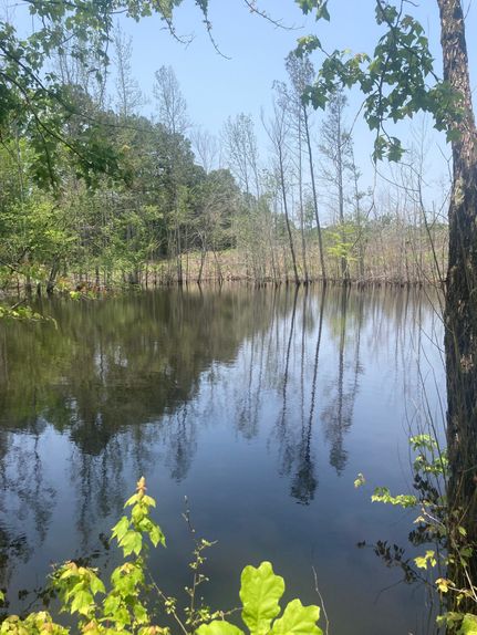 Property in Alcorn County, Mississippi