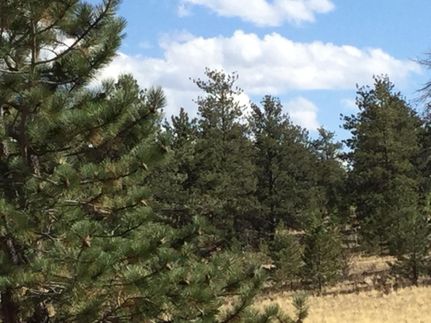 Property in Chaffee County, Colorado