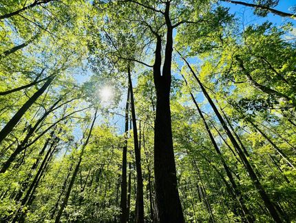 Property for sale in Benton County, Tennessee