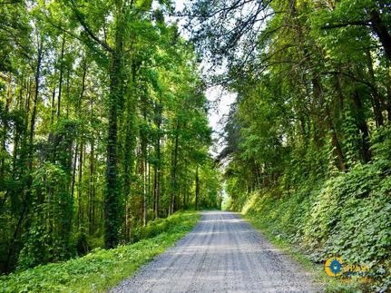 Property in Pickens County, Georgia