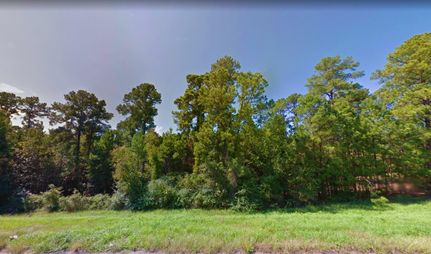 Property in Polk County, Texas