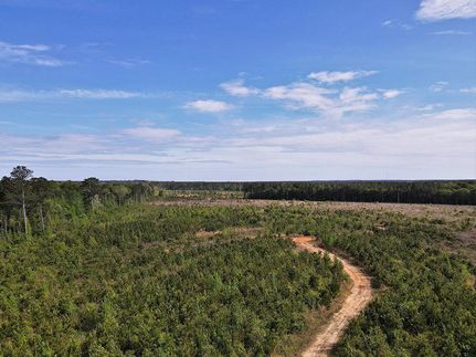 Property in Perry County, Mississippi