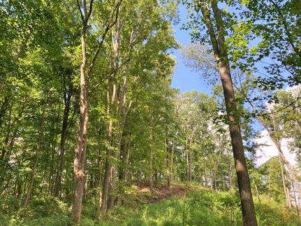 Property in Tyler County, West Virginia