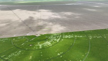 Property in Hansford County, Texas