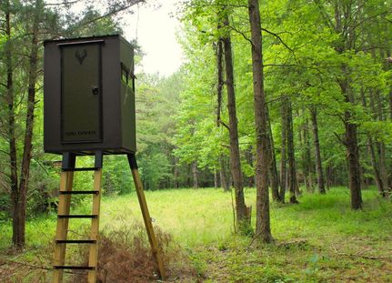 Property in Jasper County, Mississippi