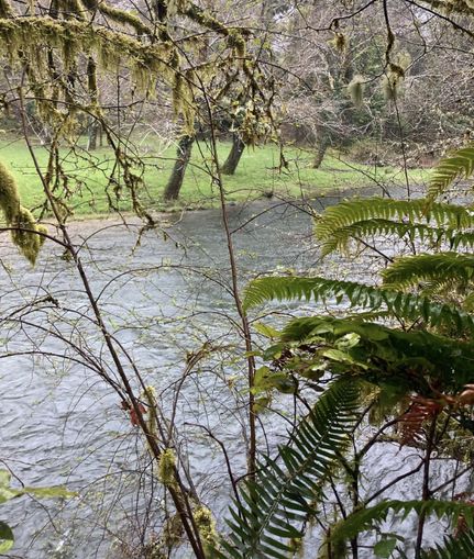 Property in Lincoln County, Oregon
