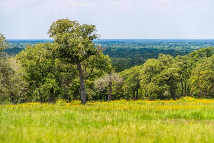 Property in Bastrop County, Texas