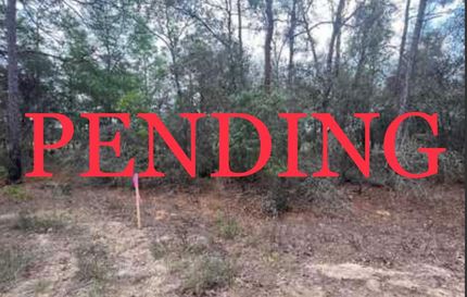 Property in Citrus County, Florida