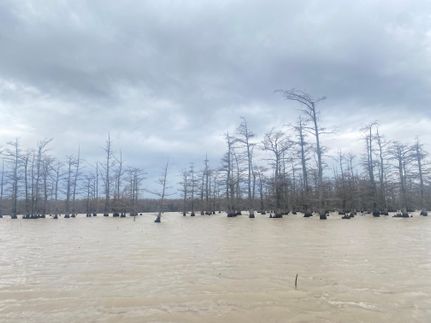 Property in Bolivar County, Mississippi