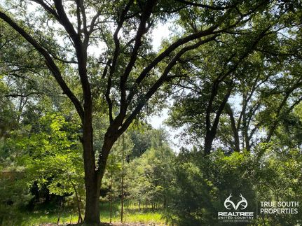 Property in Hampton County, South Carolina