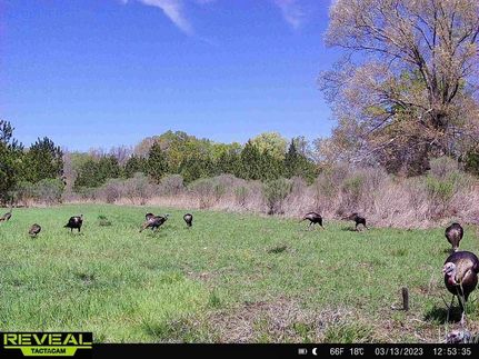 Property in Warren County, Mississippi