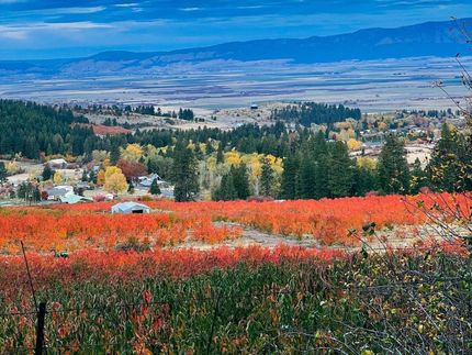 Property in Union County, Oregon
