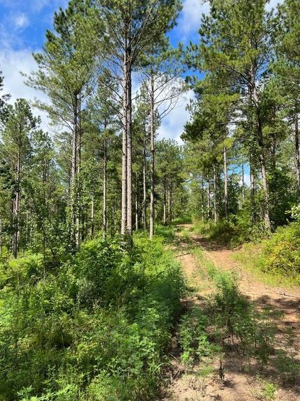 Property in DeKalb County, Alabama