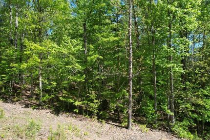 Property in Randolph County, Alabama