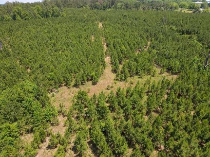 Property in Barbour County, Alabama