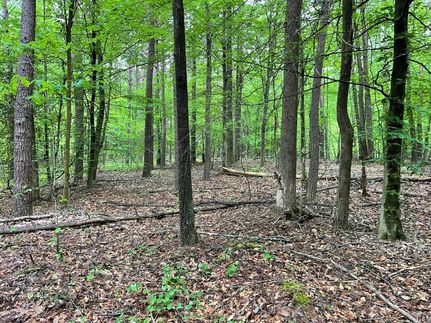 Property in Hall County, Georgia