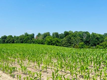 Property in Russell County, Kentucky