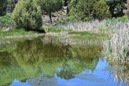 Property in Rio Arriba County, New Mexico