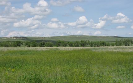 Property in Elbert County, Colorado