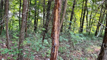 Property in Washington County, Ohio