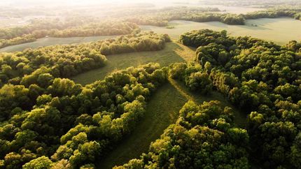 Property in Fulton County, Illinois