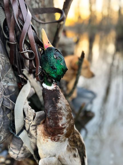 Property in Desha County, Arkansas