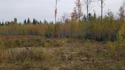 Property in Aroostook County, Maine