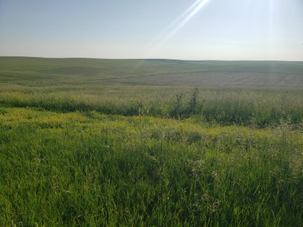 Property in Gregory County, South Dakota