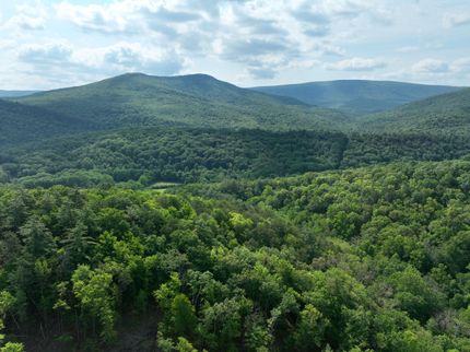 Hunting Land for sale in Hardy County, West Virginia