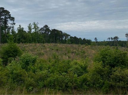 Timberland Property for sale in Panola County, Texas