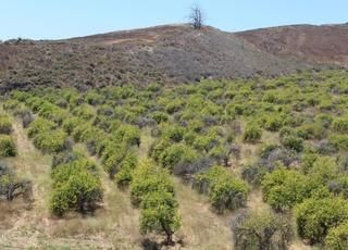 Property in Ventura County, California