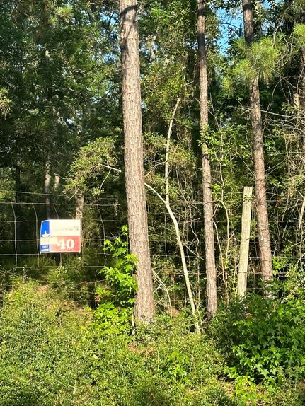 Property in San Augustine County, Texas