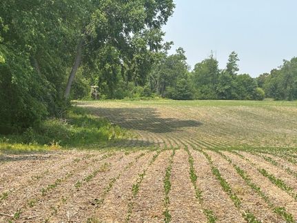 Property in Branch County, Michigan