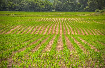 Property in Tazewell County, Illinois