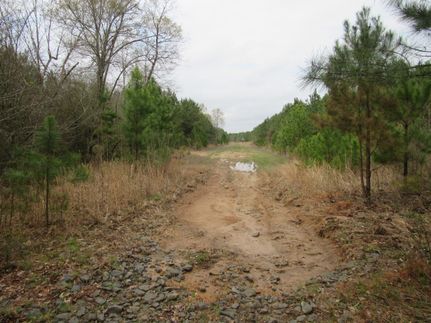 Property in Lincoln County, Arkansas