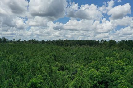 Property in Livingston Parish, Louisiana