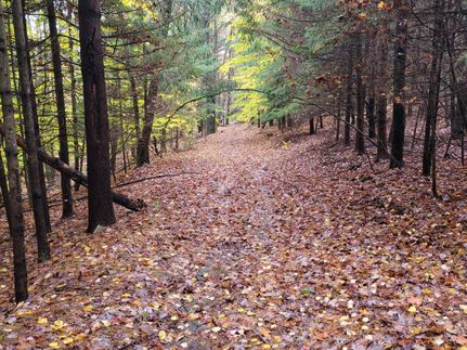 Property in Broome County, New York