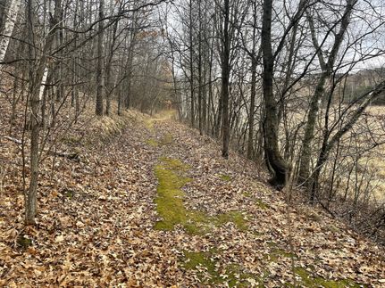 Property in Polk County, Wisconsin