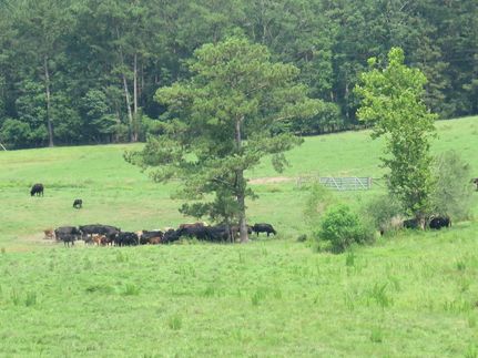 Property in Perry County, Mississippi