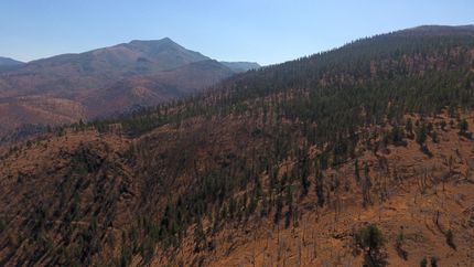 Property in Grant County, Oregon