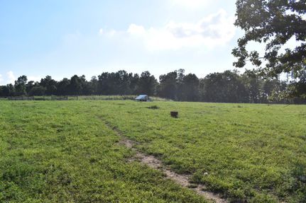 Property in Texas County, Missouri