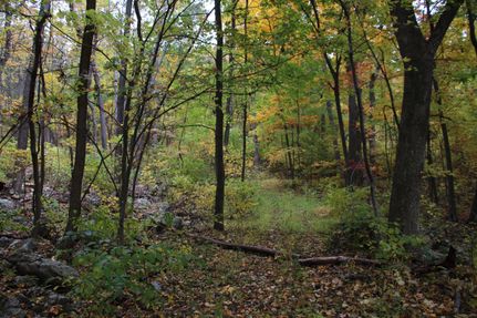 Property in Frederick County, Virginia