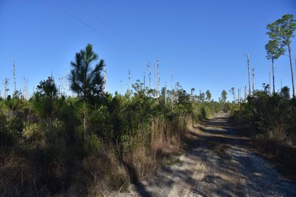 Property in Marion County, Florida